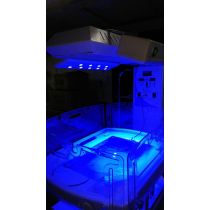 IW 4100 warmer with LED Phototherapy from above