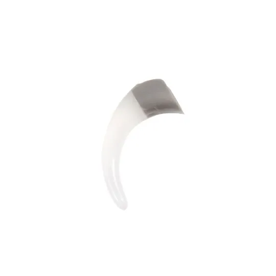 Z285996_N6 Earhook_Large.webp