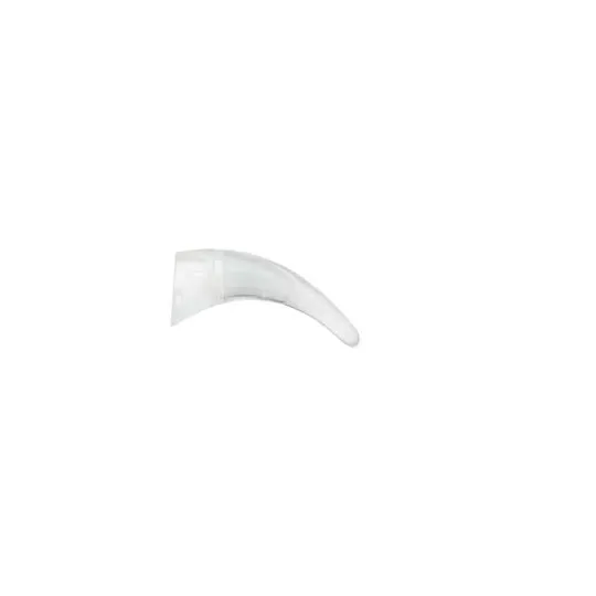 Z544867_N7 Earhook_Medium.webp
