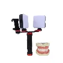dental4.webp