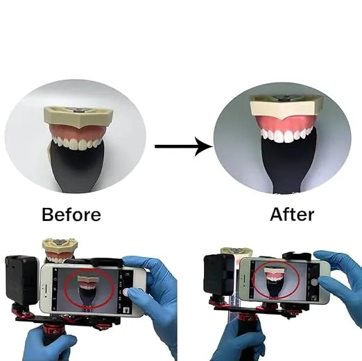 dental2.webp
