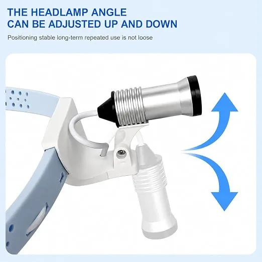 dental10316_4.webp